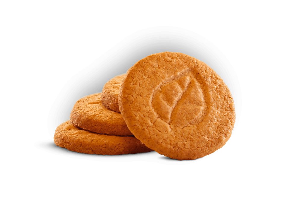 Galbusera - Buonicosì Cereali Senza Zucchero- gr 300