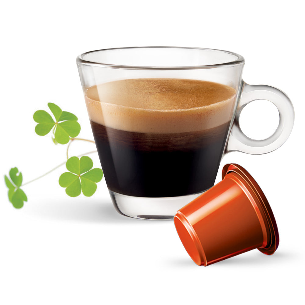 Gimoka Irish Coffee - Capsule compatibili Nespresso